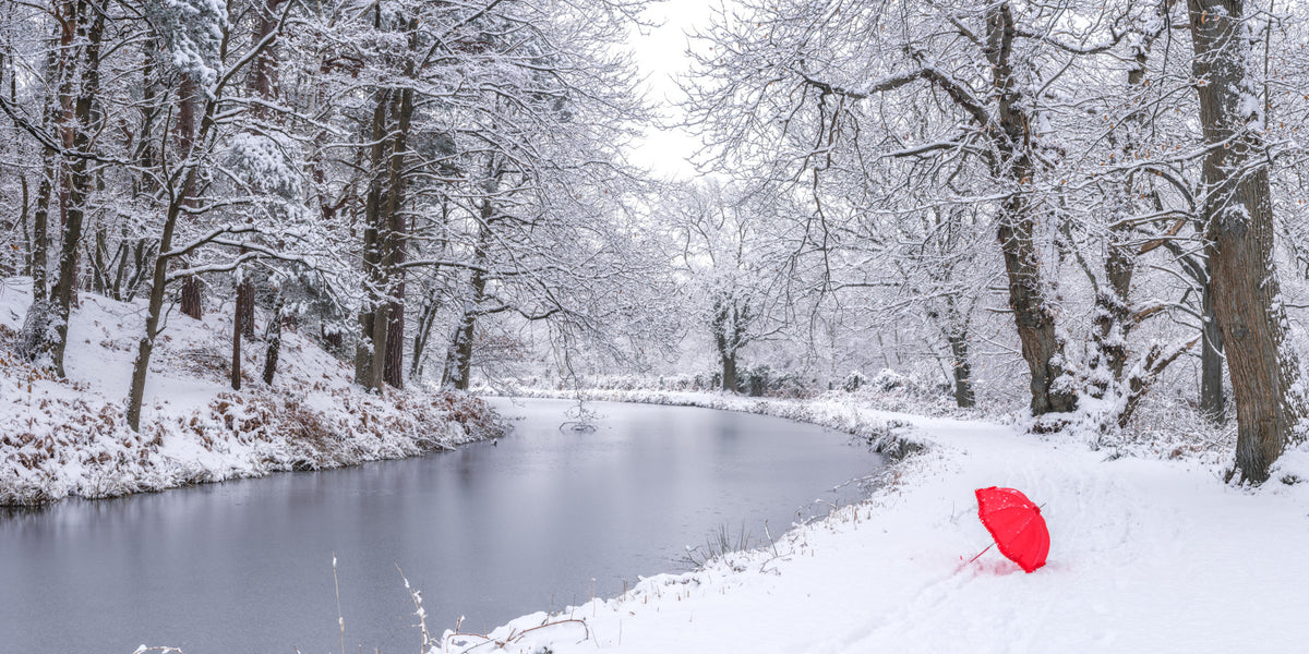 Winter Forest Red Umbrella Wall Mural in your room