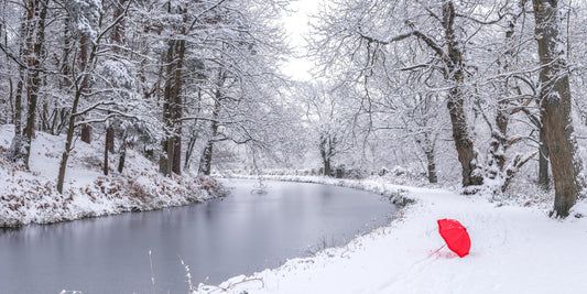 Winter Forest Red Umbrella Wall Mural