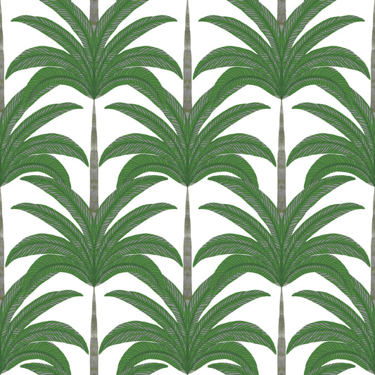 Arched Palm Frond Botanical Art Wallpaper⁠