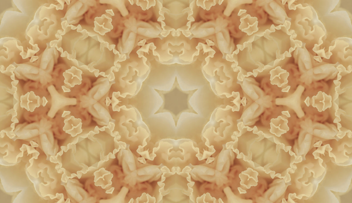 Soft Peach Ruffled Kaleidoscope Wallpaper⁠