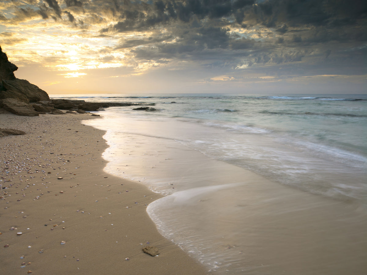 Golden Hour Coastal Tide Wall Mural in your room — zoomed