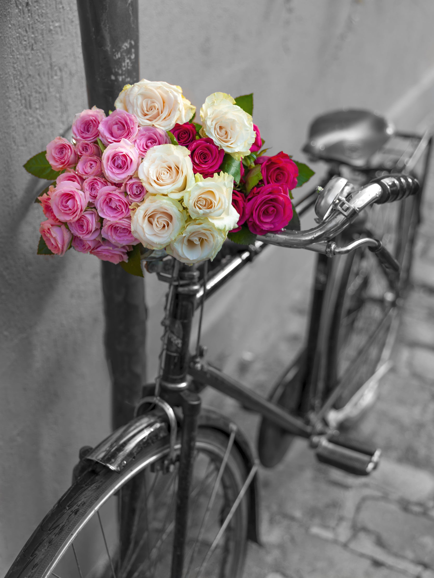 Vintage Floral Bike Journey Wall Mural in your room — zoomed
