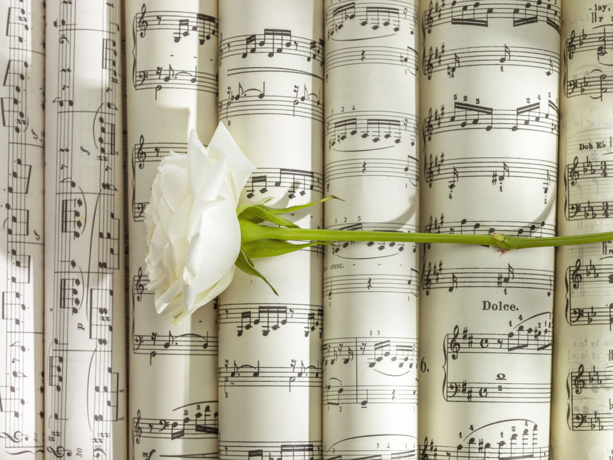 Melodic White Bloom Harmony Wall Mural