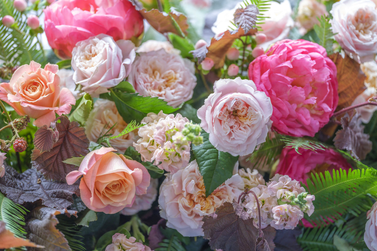 Velvet Petal Arrangement Wall Mural in your room — zoomed