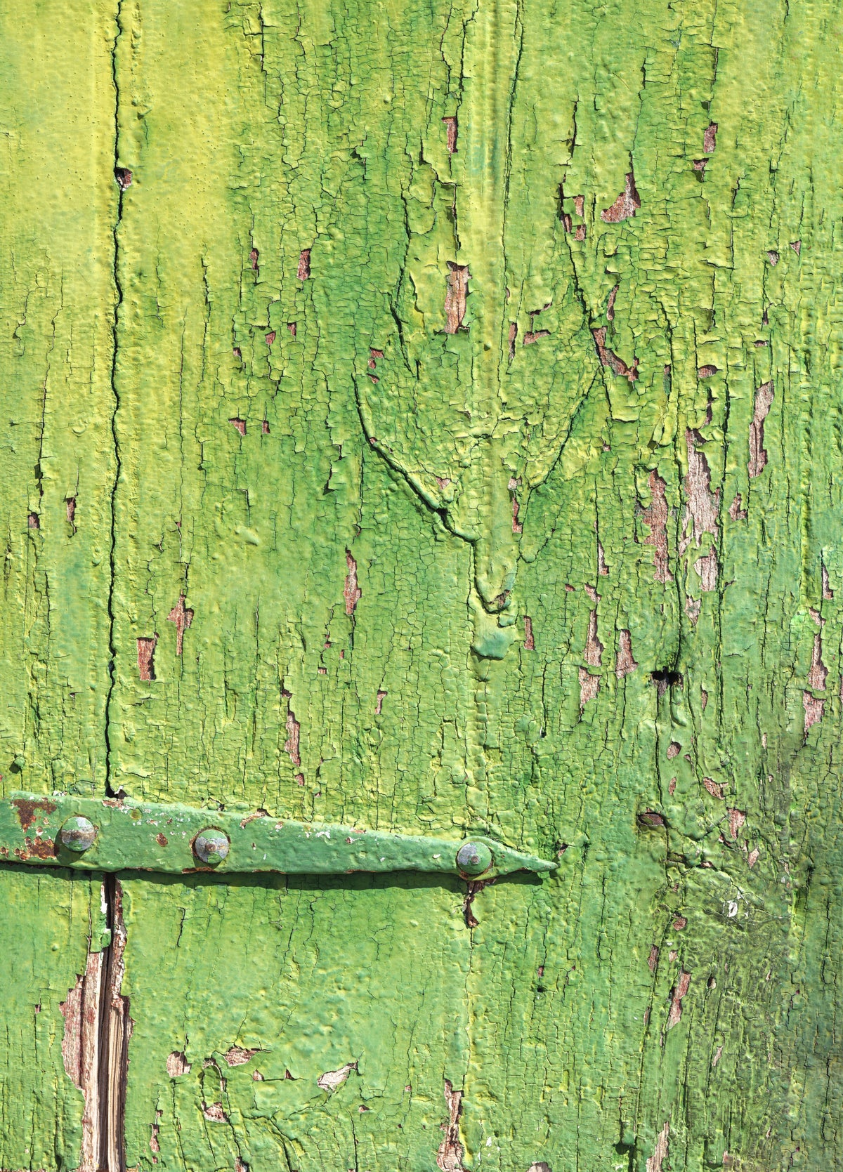 Rustic Industrial Green Wood Hinge Wall Mural in your room — zoomed