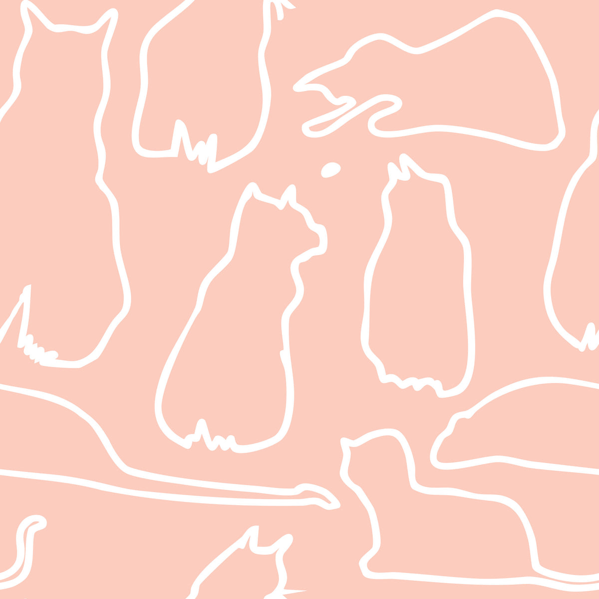Munki and the Spot - Blush Pink Wallpaper⁠ in your room — zoomed