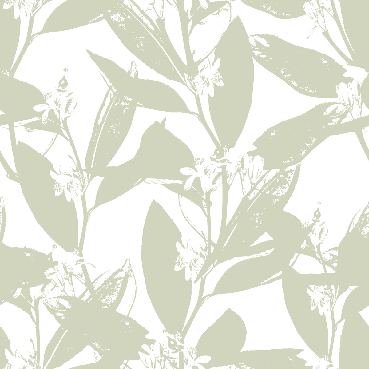 Soft Sage Botanical Print Wallpaper⁠ in your room — zoomed