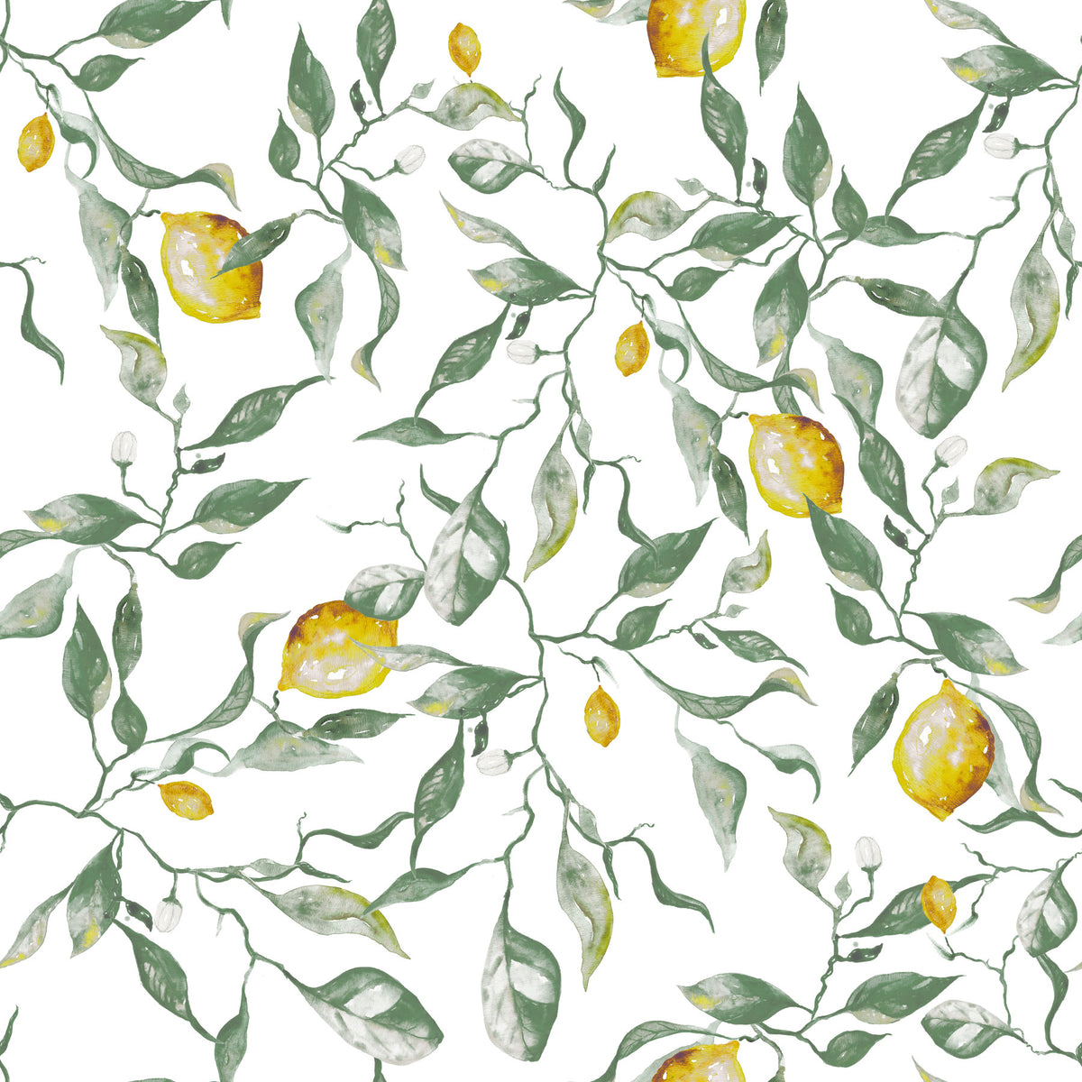 Mediterranean Citrus Grove Illustration Wallpaper⁠ in your room