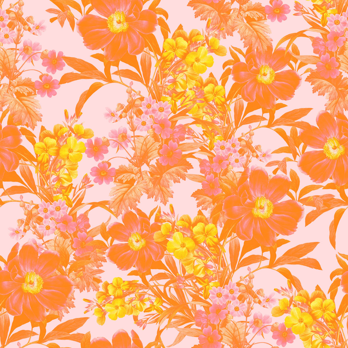 Sunset Orchard Botanical Blooms Wallpaper⁠ in your room