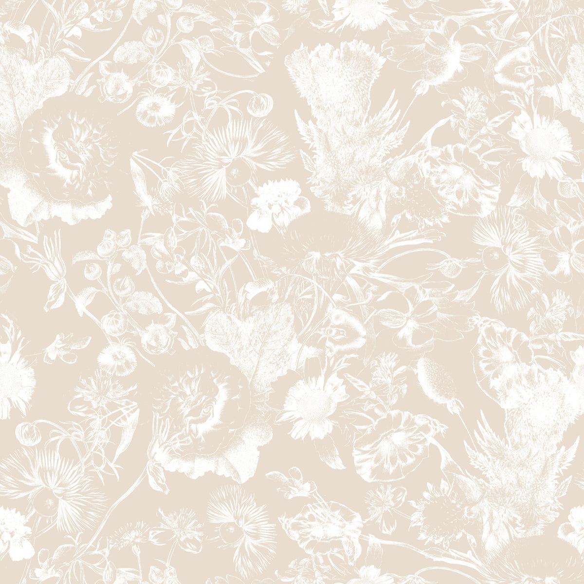 Cream Botanical Line Art Wallpaper⁠ in your room