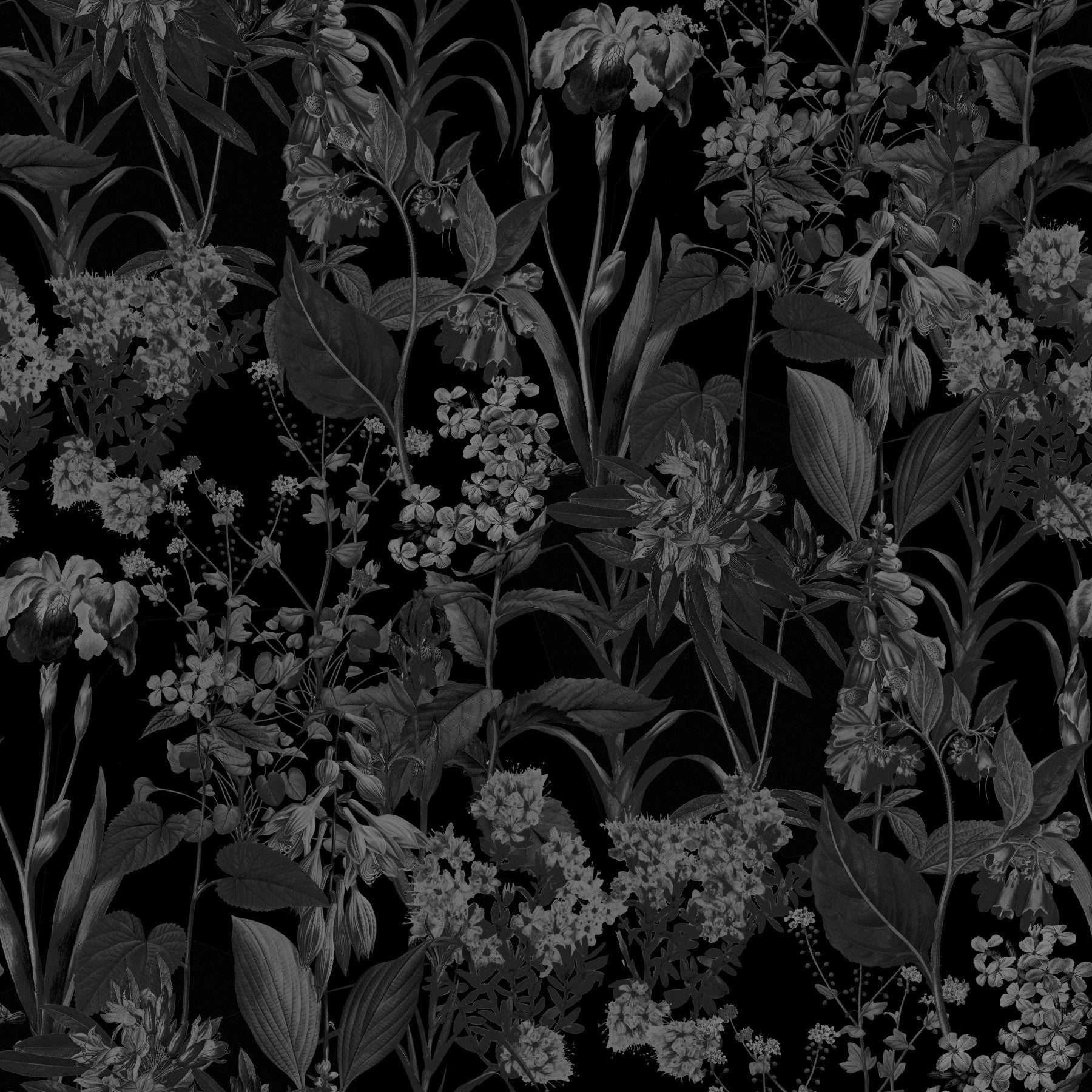 Enchanted Monochrome Garden Wallpaper⁠