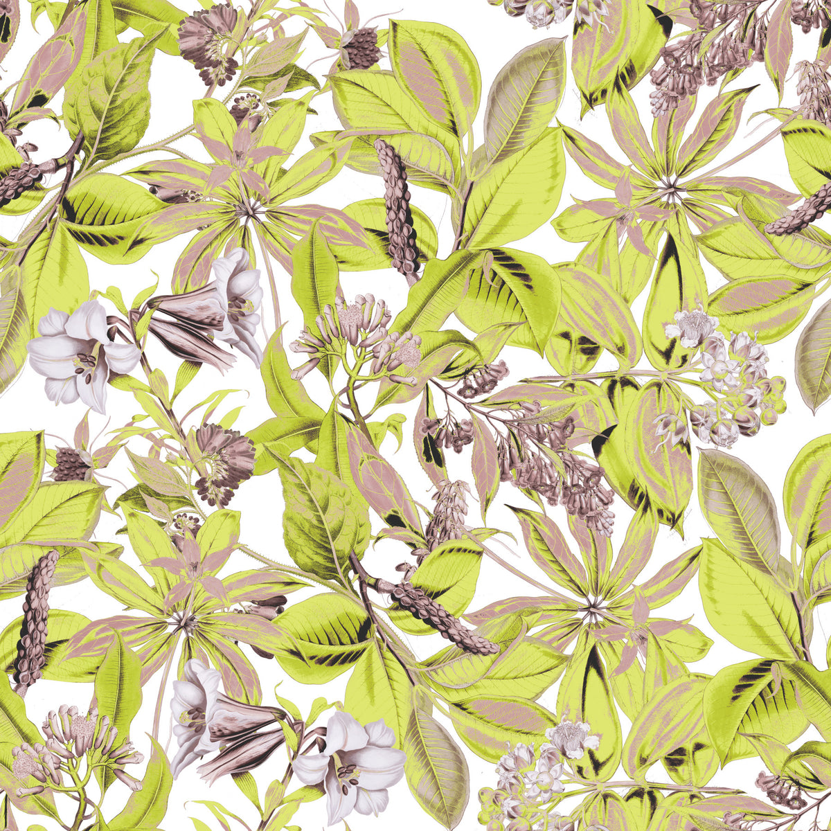 Lush Botanical Garden Foliage Wallpaper⁠ in your room