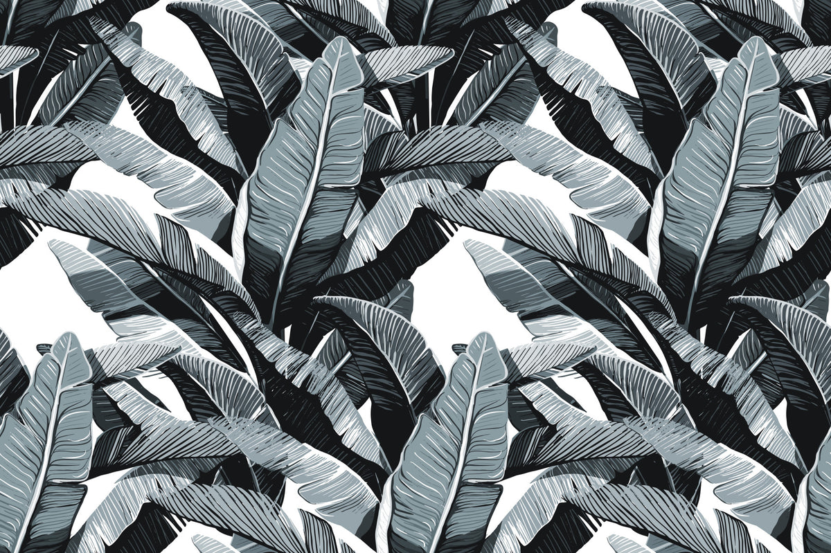 Monochrome Tropical Palm Fronds Wallpaper⁠