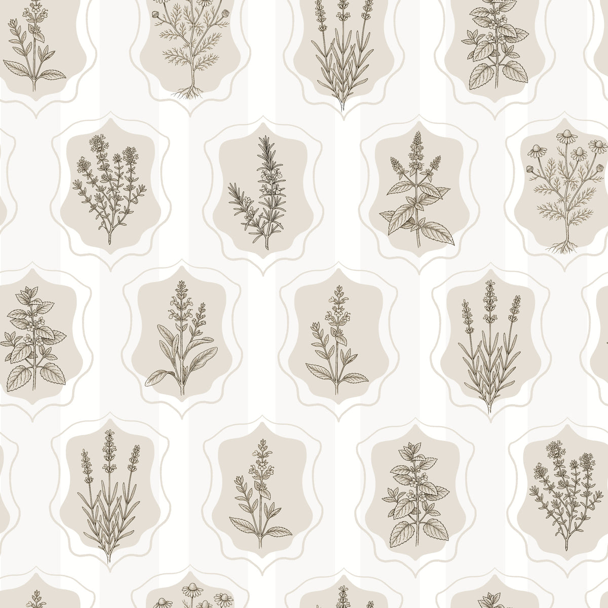 Vintage Botanical Herb Garden Sketch Wallpaper⁠ in your room — zoomed