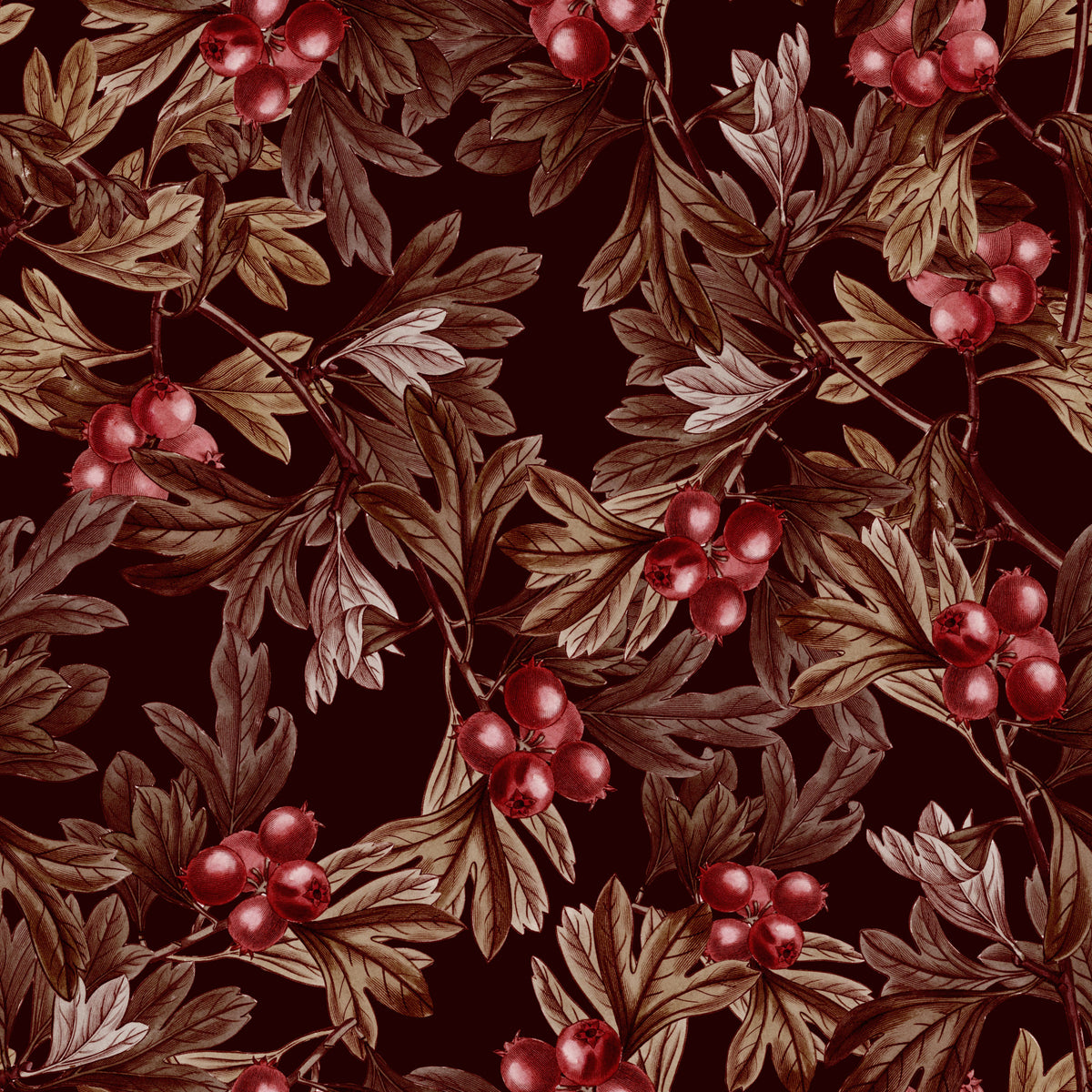 Autumnal Berry Harvest Illustration Wallpaper⁠ in your room — zoomed