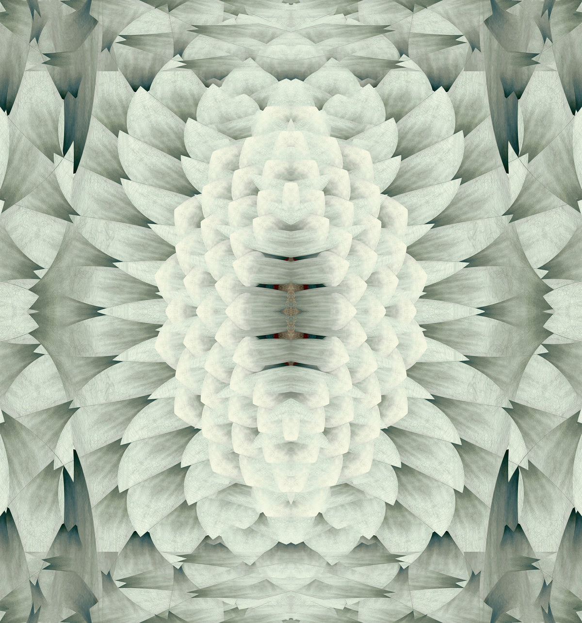 White Gray Oversized Geometric Flower - GARDENIA Wall Mural in your room