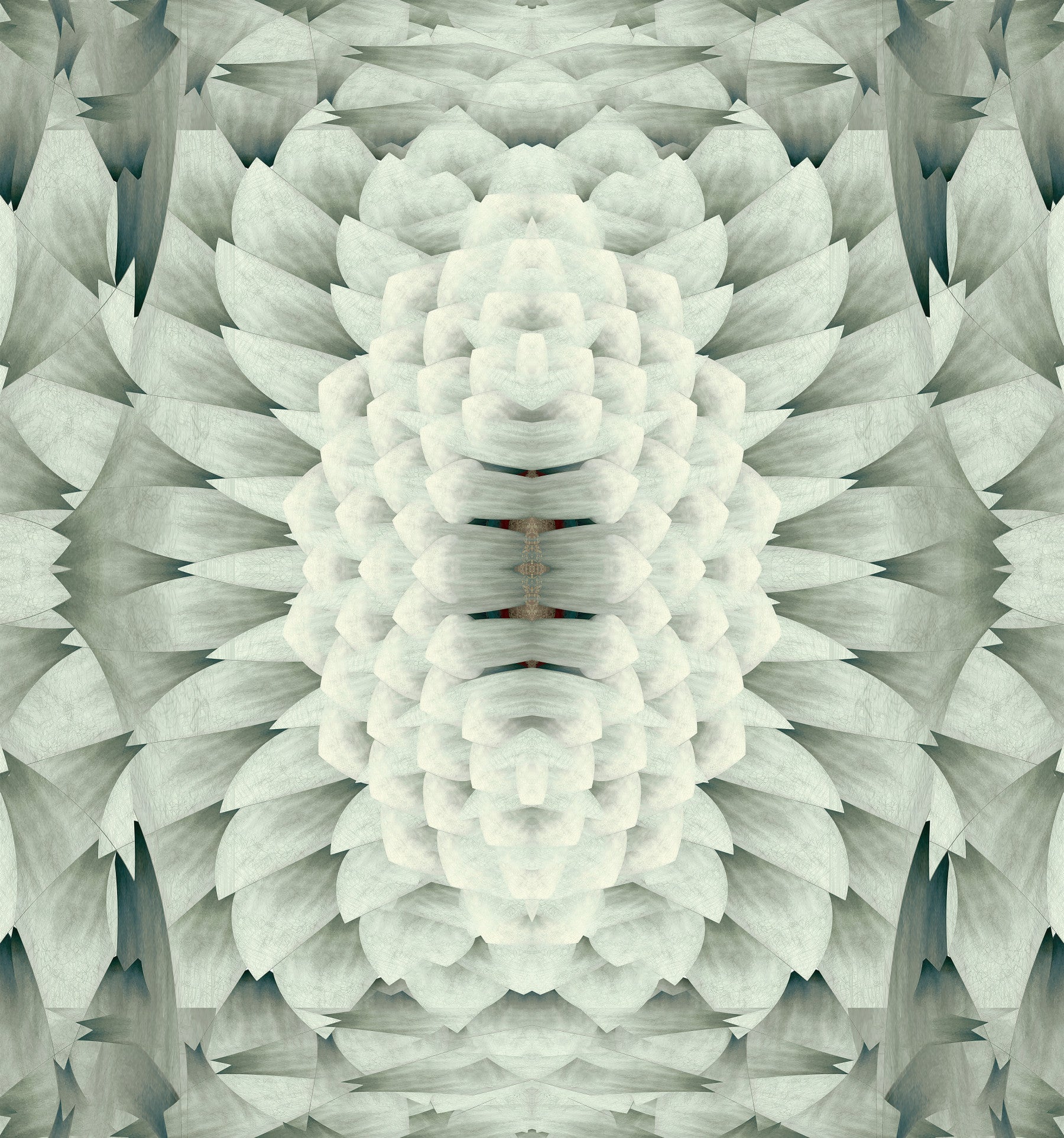 Monochromatic Sculptural Geometric Flower - GARDENIA Wall Mural
