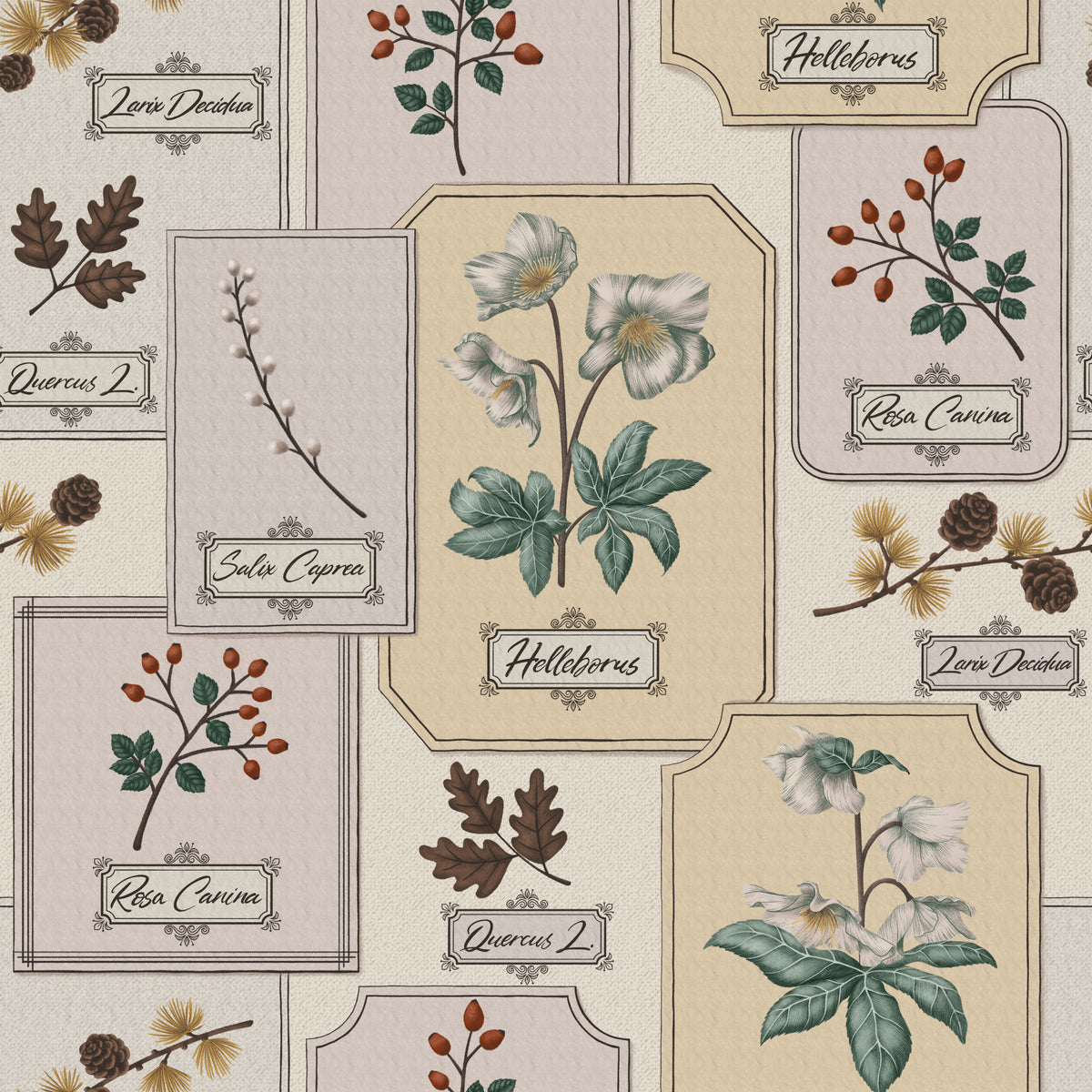Botanical Winter Specimen Herbarium Wallpaper⁠ in your room