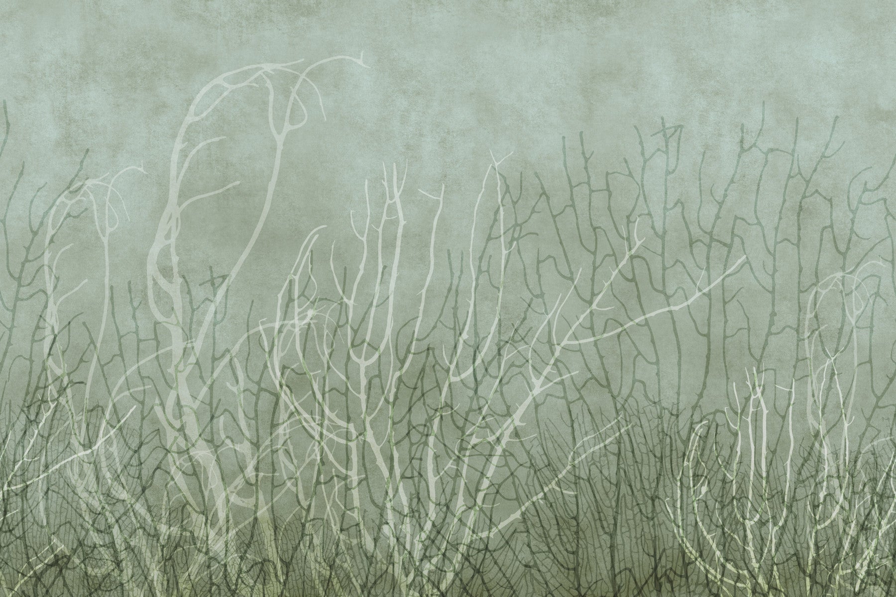 Sea Fans - Pool Wall Mural