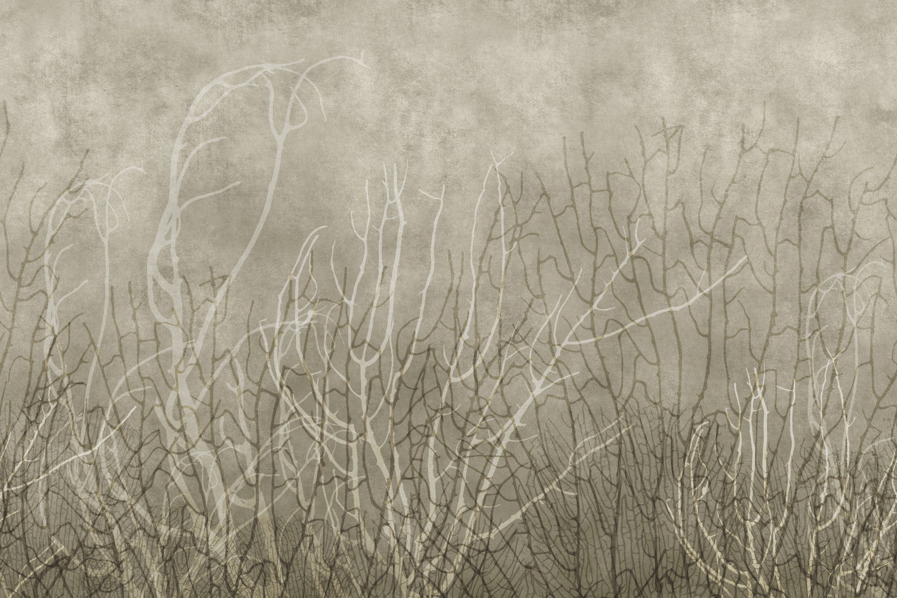 Sea Fans - Bisque Wall Mural