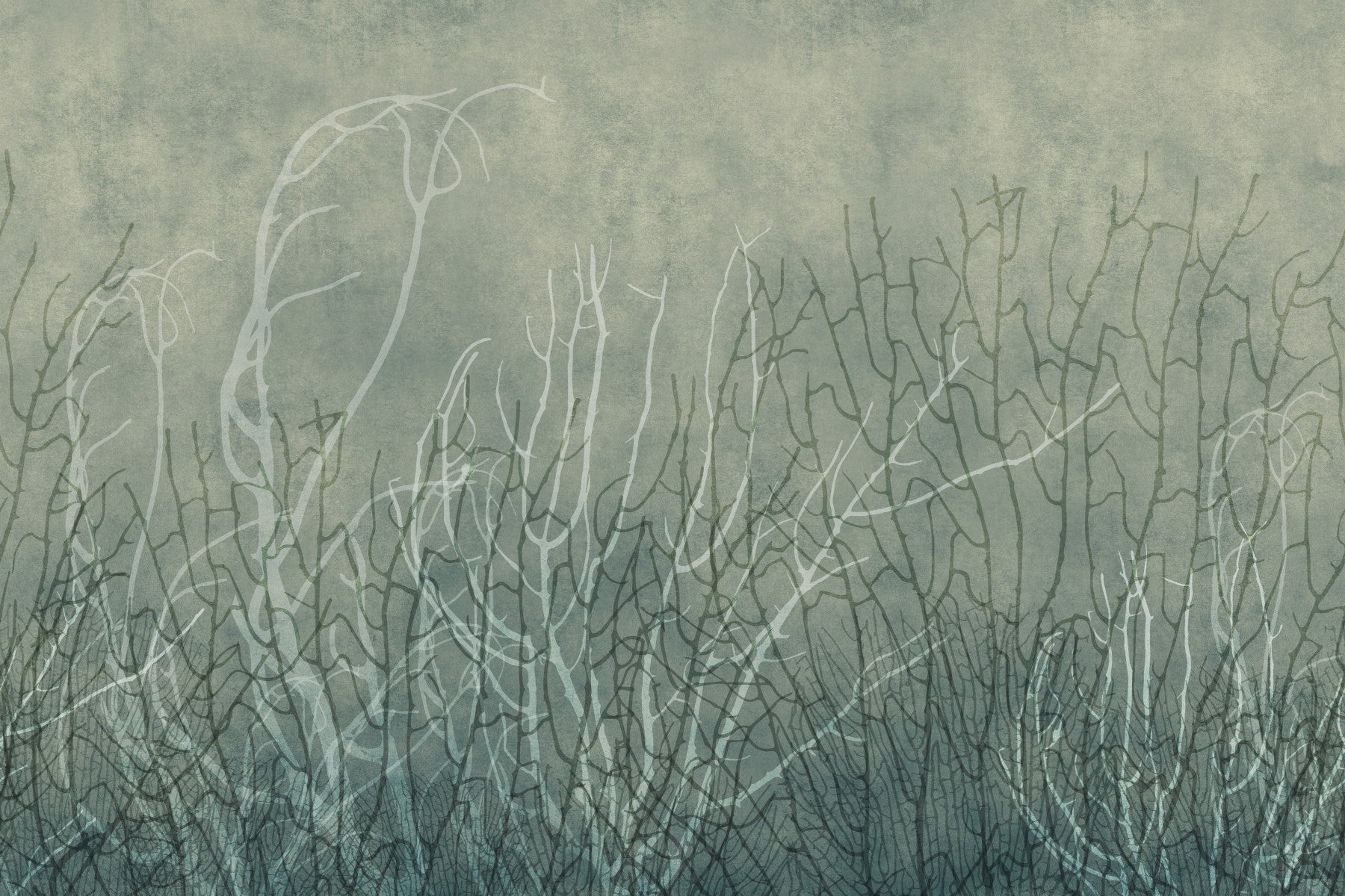 Sea Fans - Glacial Waters Wall Mural