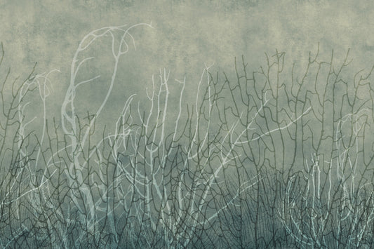Sea Fans - Glacial Waters Wall Mural