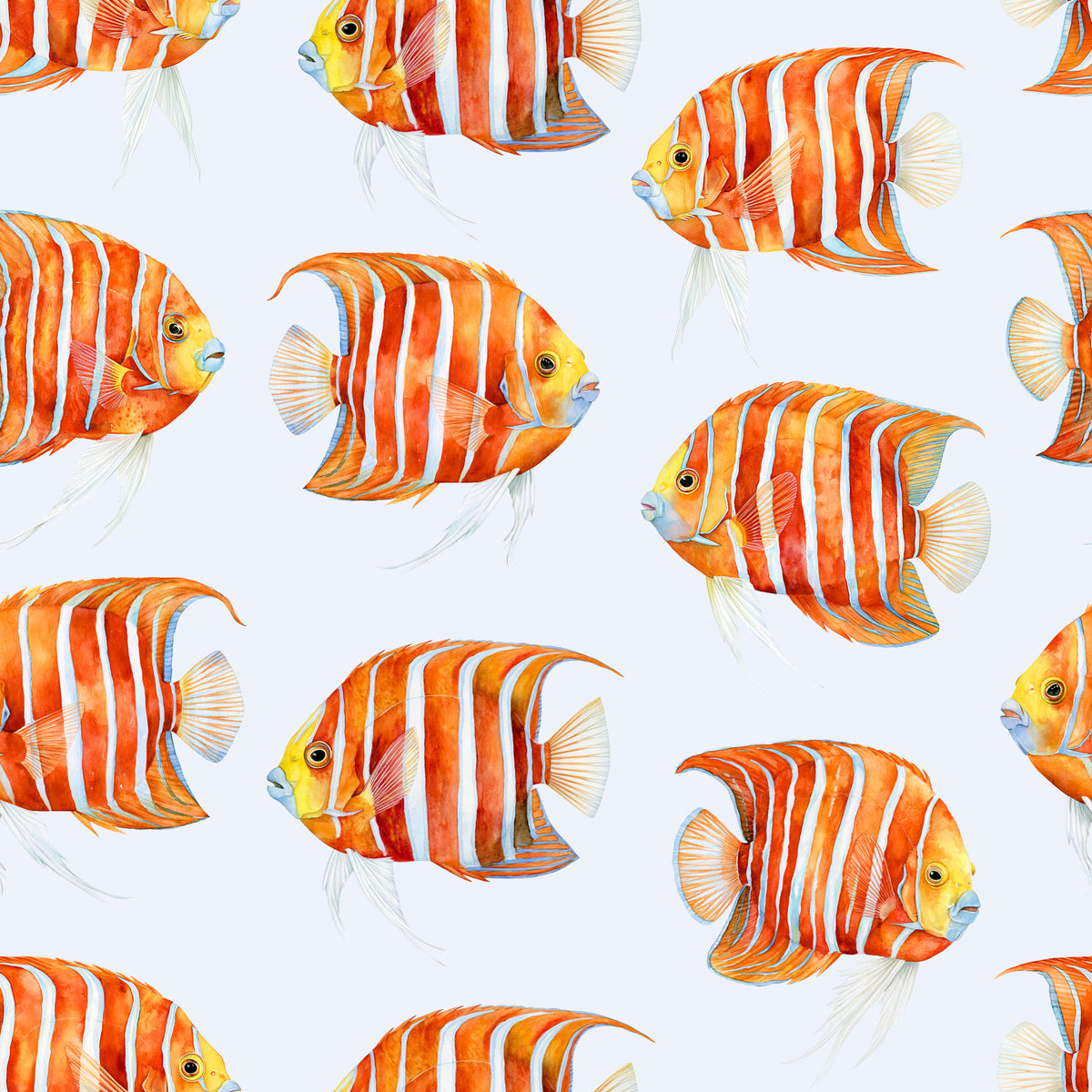 Karli The Fish 02 Wallpaper⁠ in your room