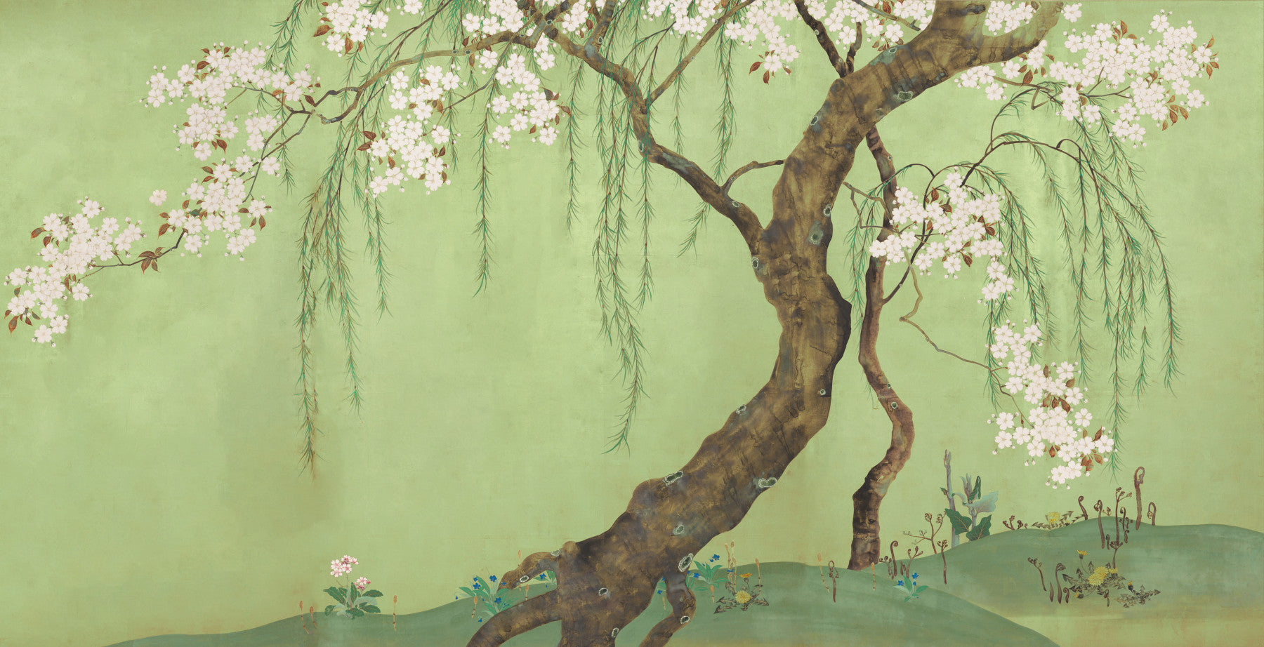 Weeping Cherry Blossom Willow Scene Wall Mural