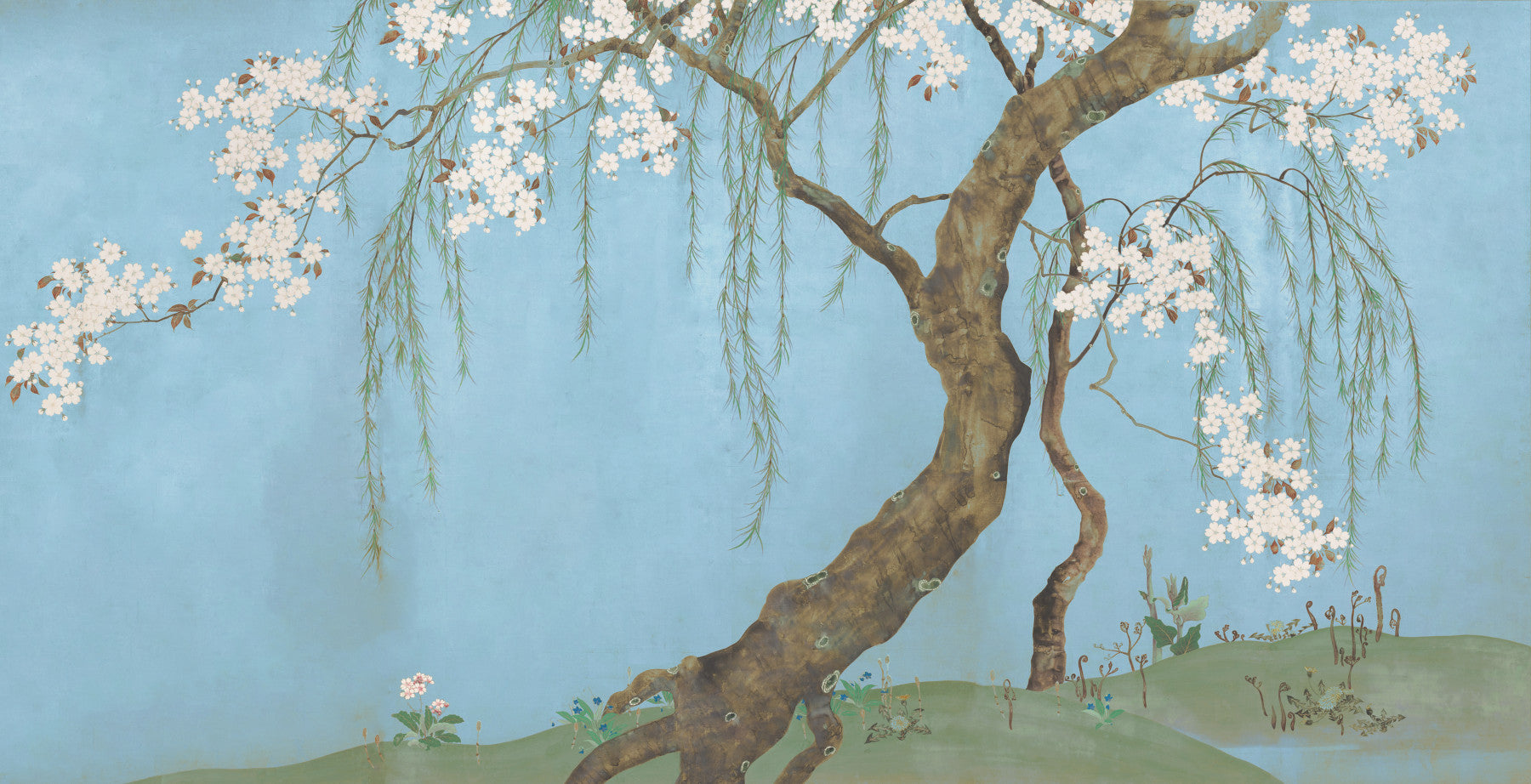 Serene Cherry Blossom Willow Wall Mural