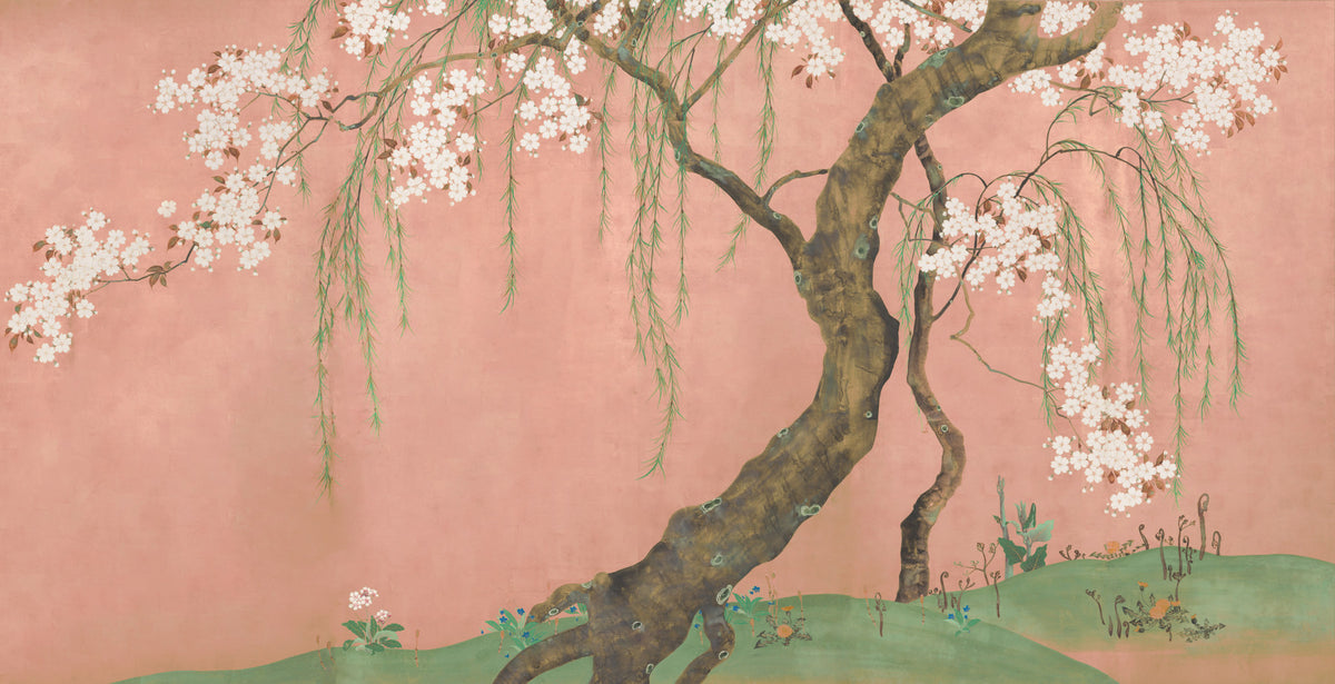 Blossoming Willow Sakura Landscape Wall Mural in your room — zoomed