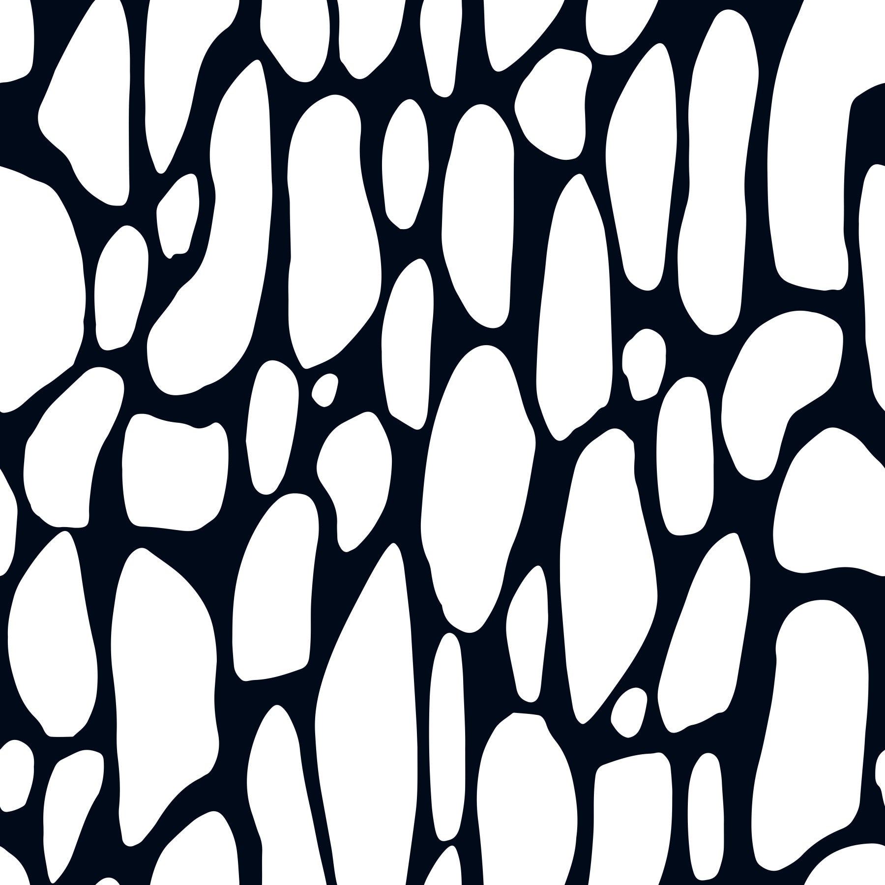 Organic Monochrome Pebbles Wallpaper⁠
