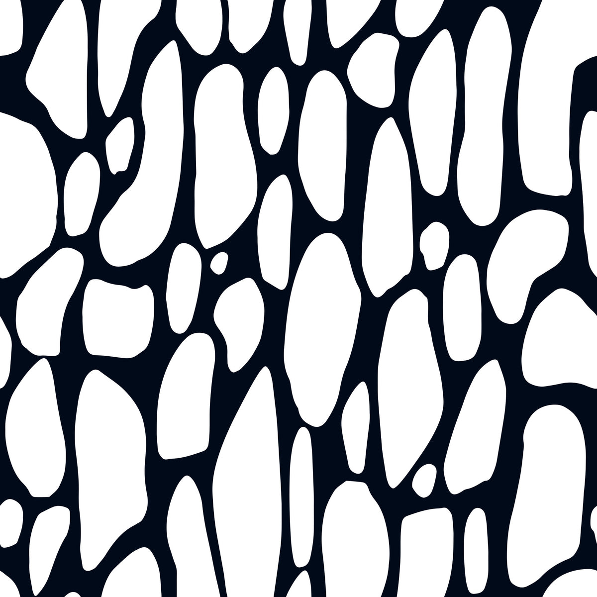 Organic Monochrome Pebbles Wallpaper⁠ in your room