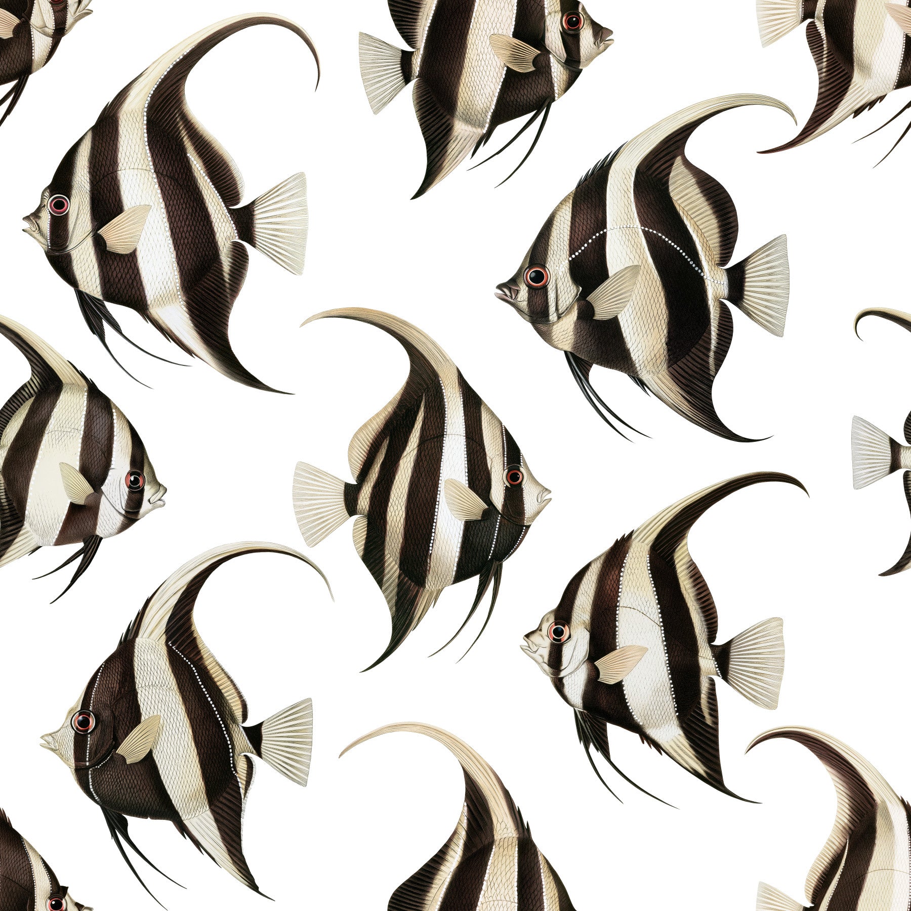 Spade The Fish 01 Wallpaper⁠