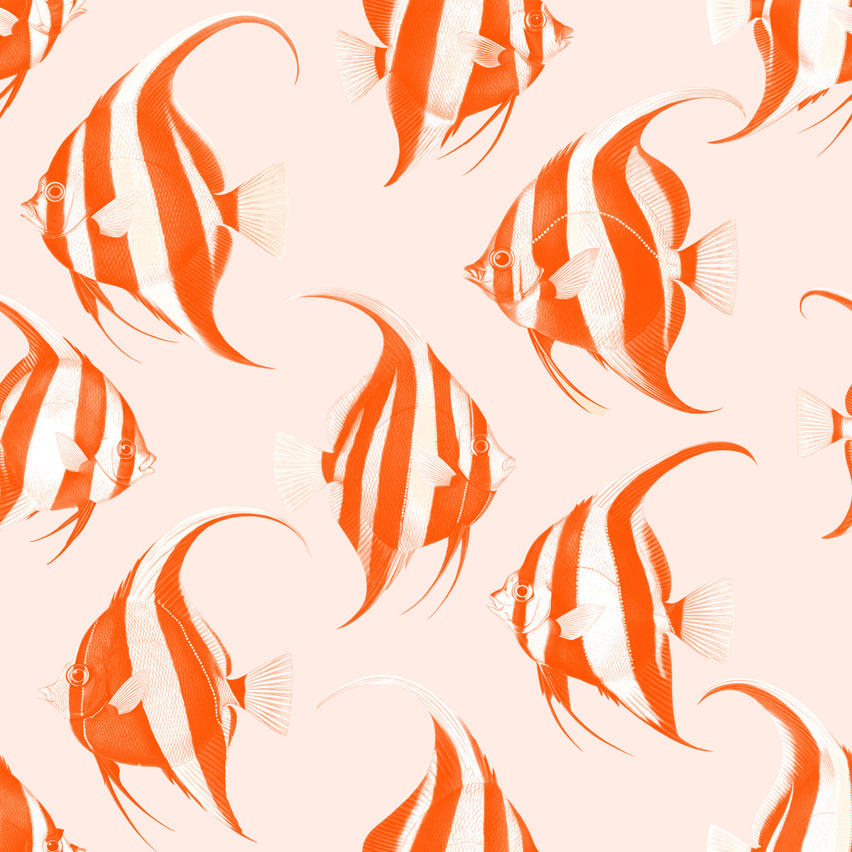 Spade The Fish 02 Wallpaper⁠ in your room