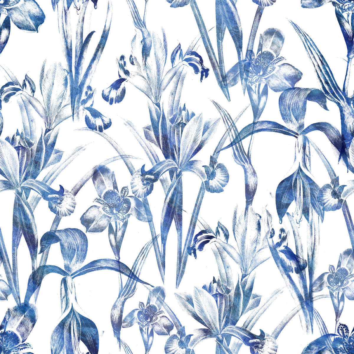 Indigo Botanical Sketch Wallpaper⁠ in your room