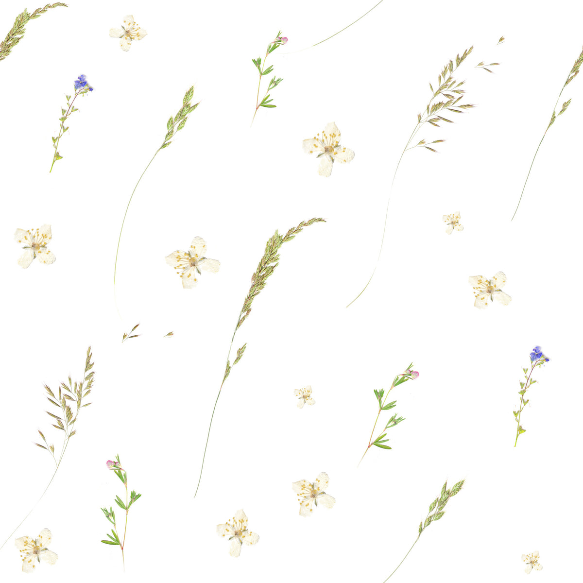 Pressed Meadow Wildflowers Wallpaper⁠ in your room