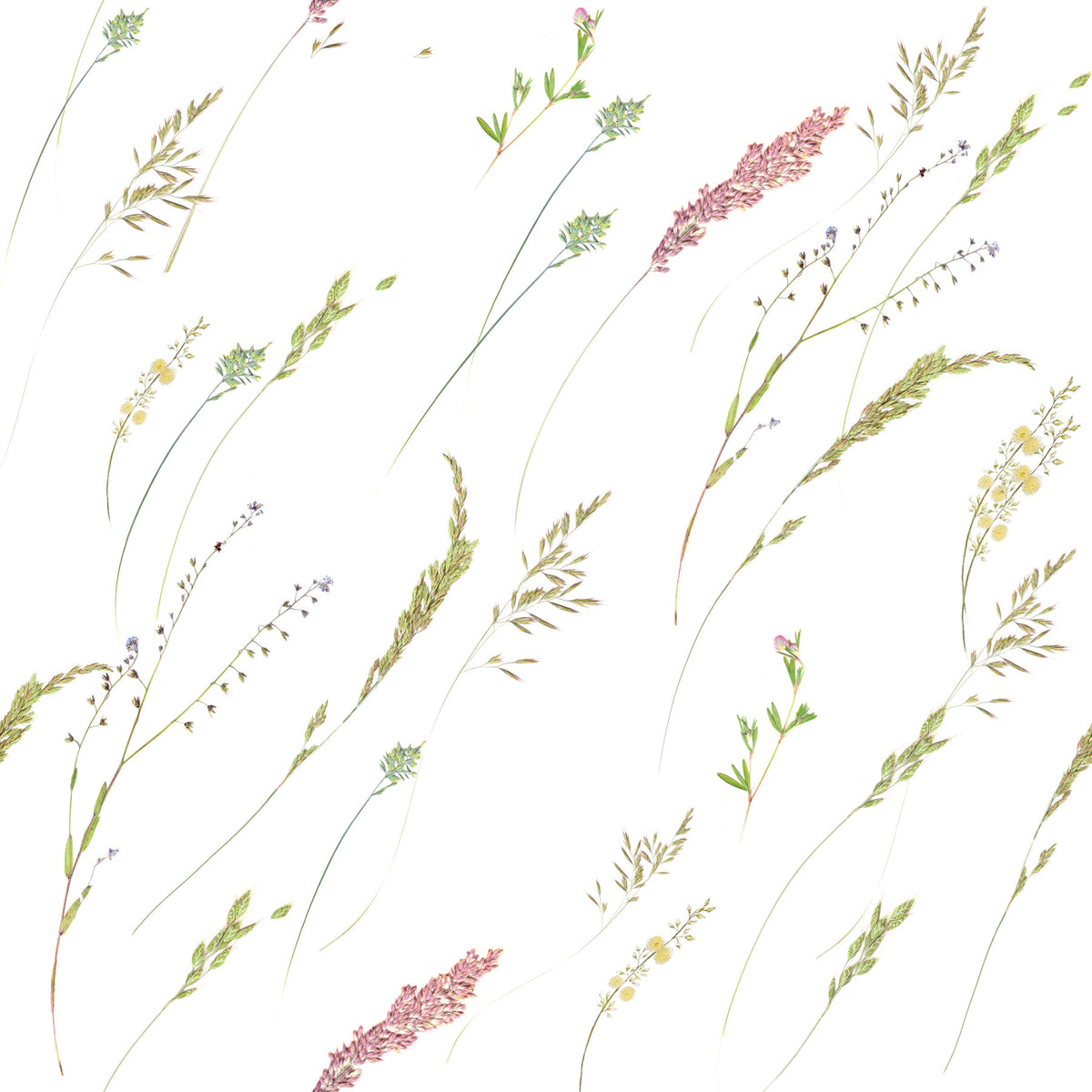 Rustic Meadow Sprigs Wallpaper⁠ in your room — zoomed