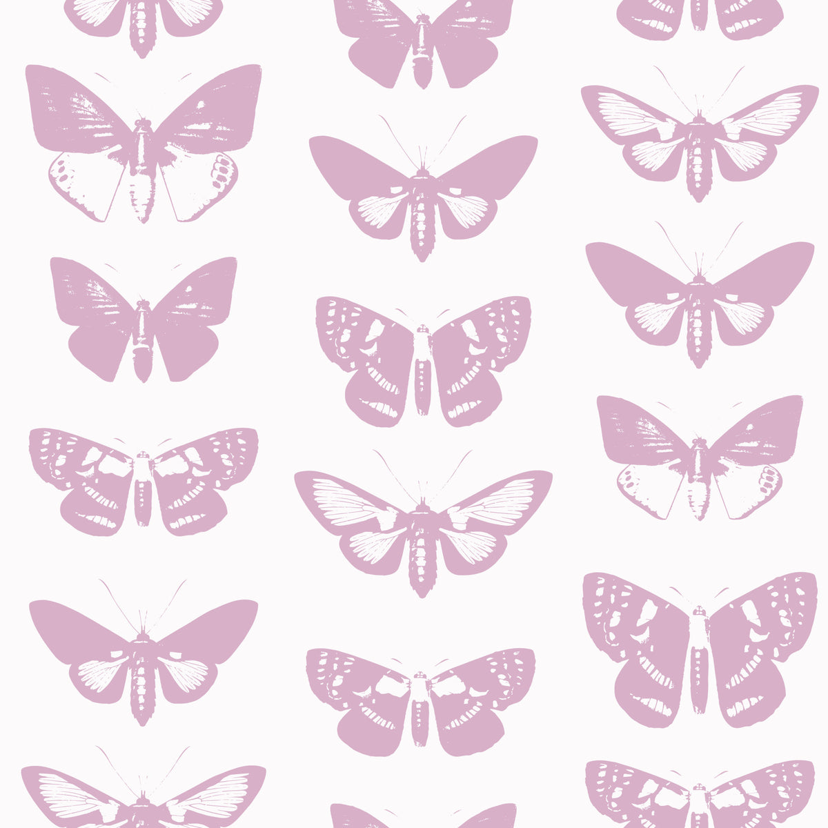 Soft Pink Moth Assemblage Wallpaper⁠ in your room