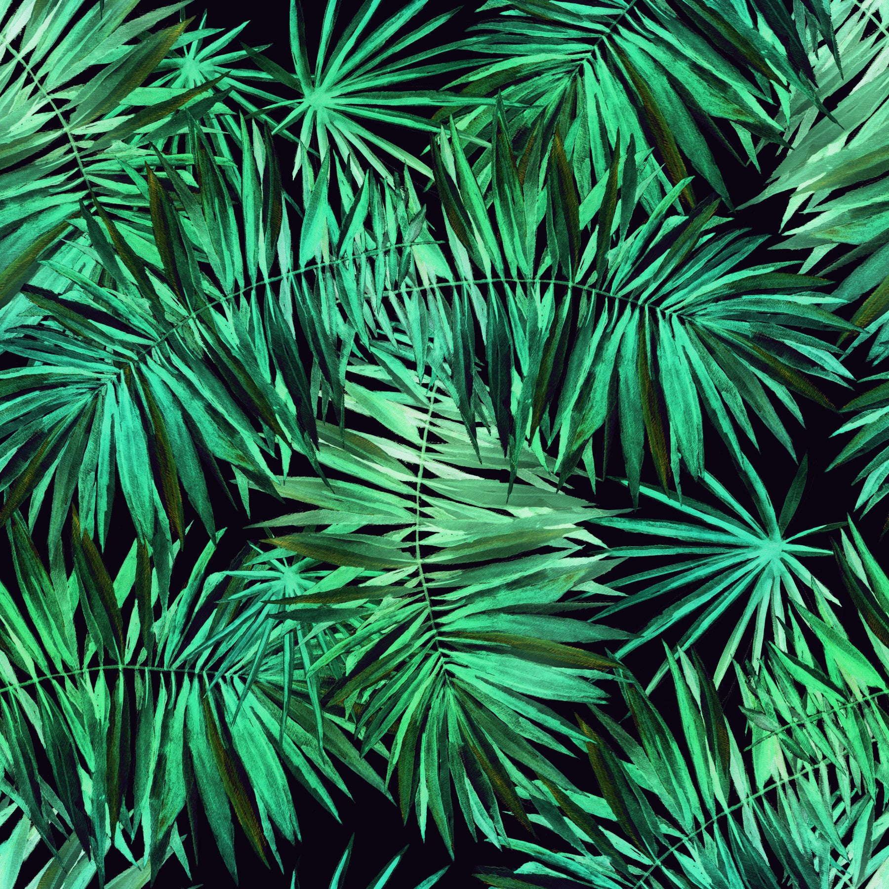 Verdant Tropical Palm Canopy Wallpaper⁠