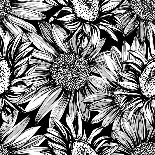 Monochrome Sunflower Sketch Bloom Wallpaper⁠