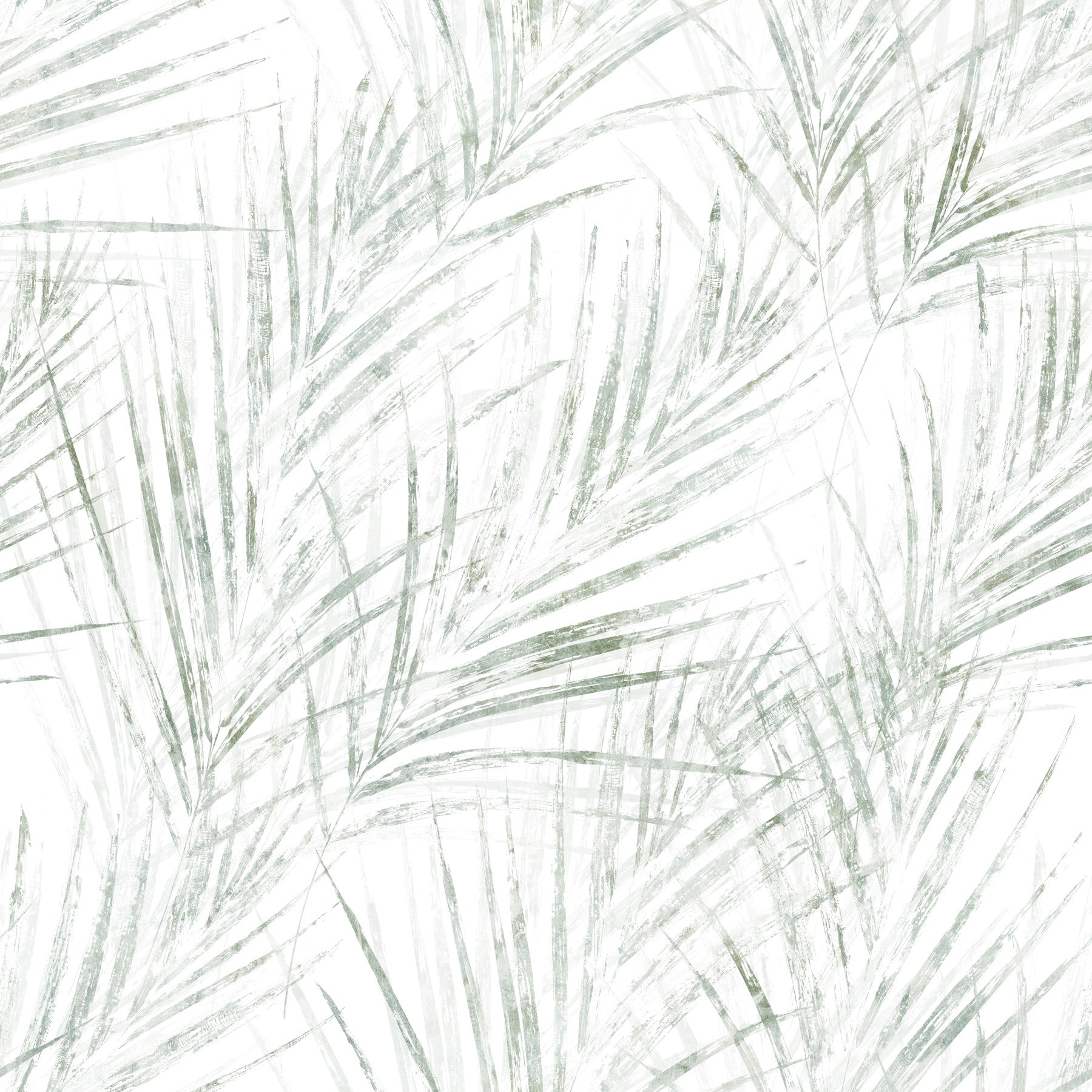 Sage Palm Botanical Sketch Wallpaper⁠