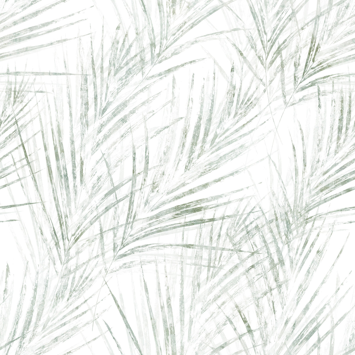 Sage Palm Botanical Sketch Wallpaper⁠