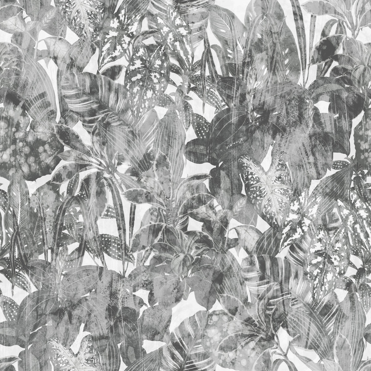 Monochrome Jungle Foliage Wallpaper⁠ in your room