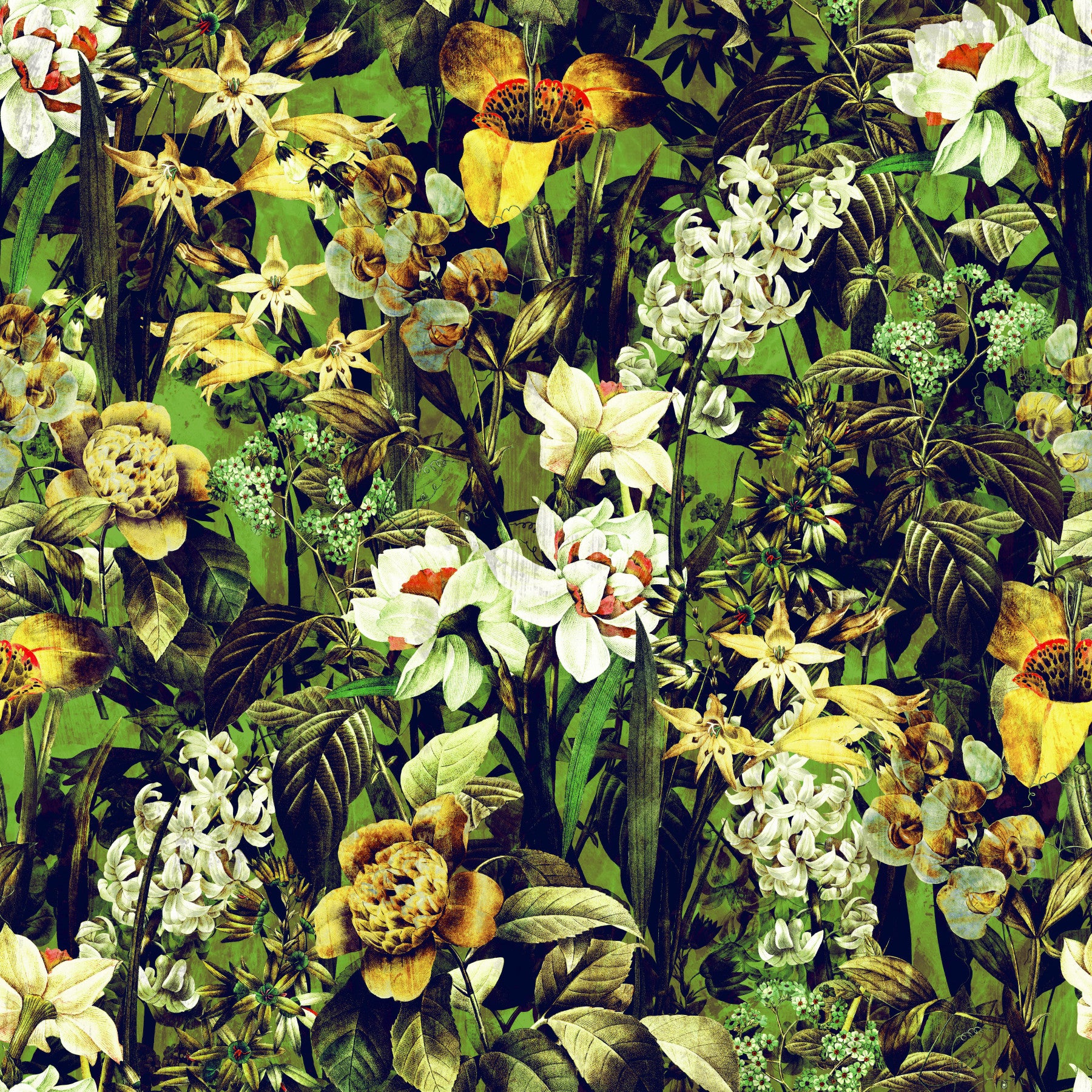 Rustic Botanical Forest Illustration Wallpaper⁠