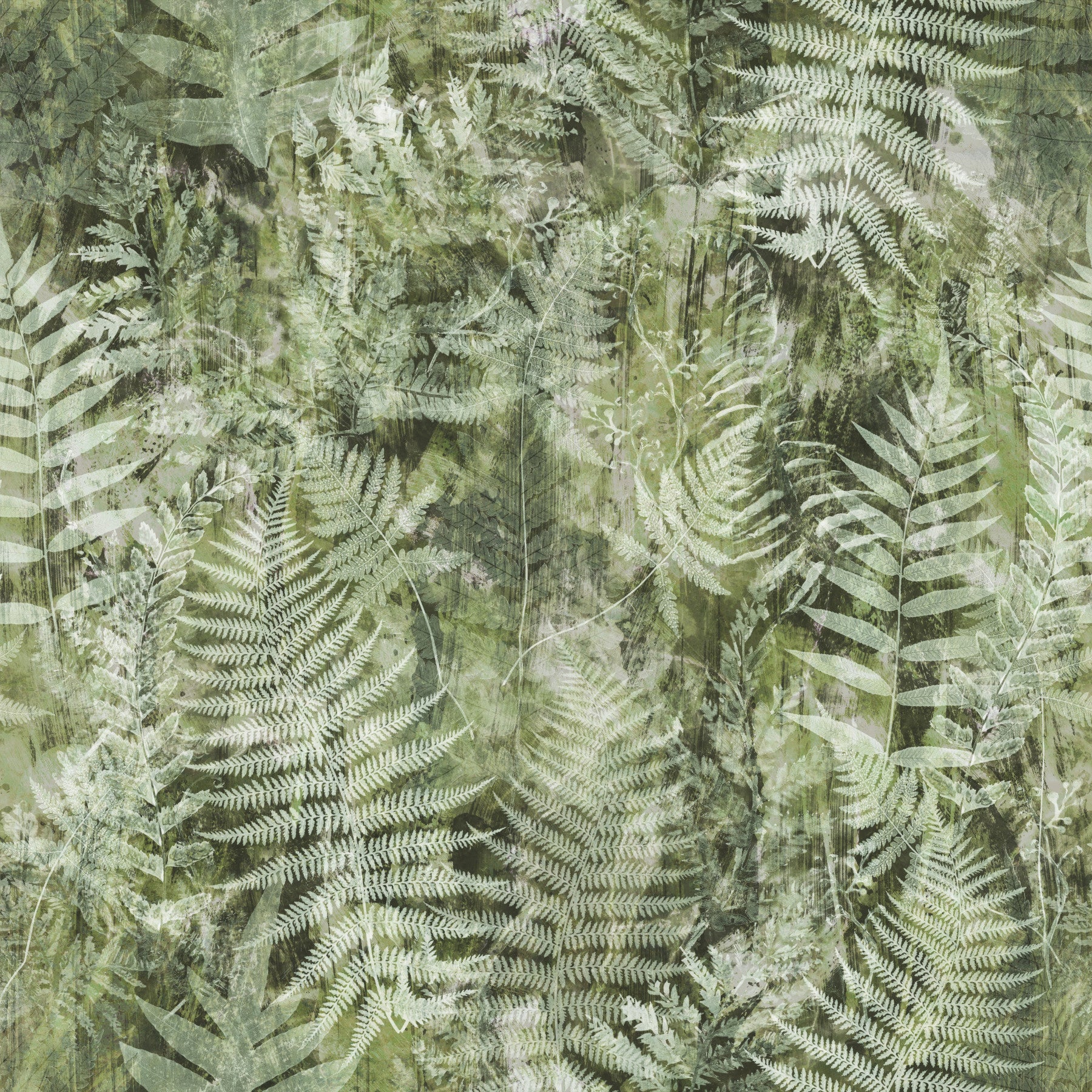 Forest Fern Botanical Print Wallpaper⁠
