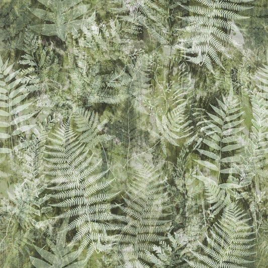 Forest Fern Botanical Print Wallpaper⁠