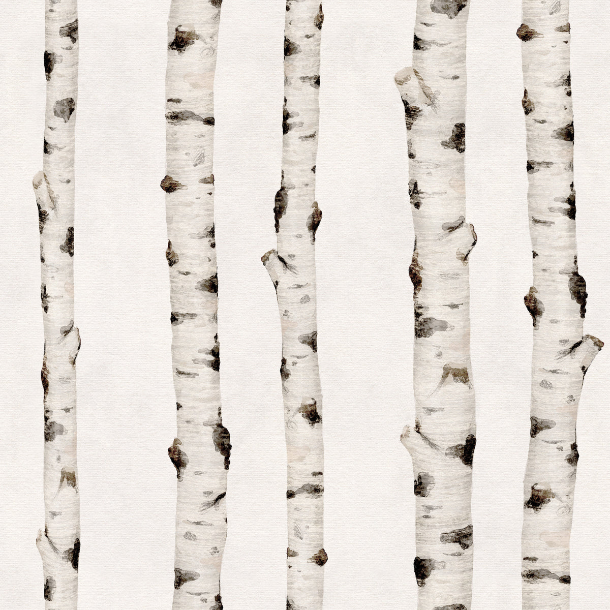 Rustic Birch Forest Vertical Trunks Wallpaper⁠