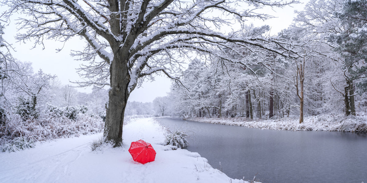 Frozen Canal Winter Wonderland Wall Mural in your room