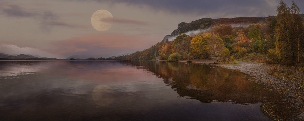 Ethereal Autumn Forest at Twilight Wall Mural in your room — zoomed