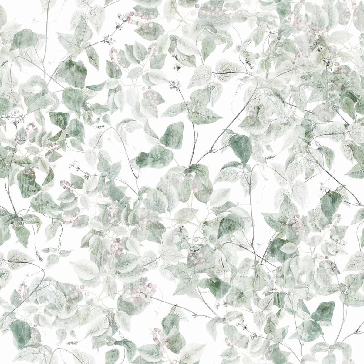 Ethereal Forest Vine Wallpaper⁠ in your room